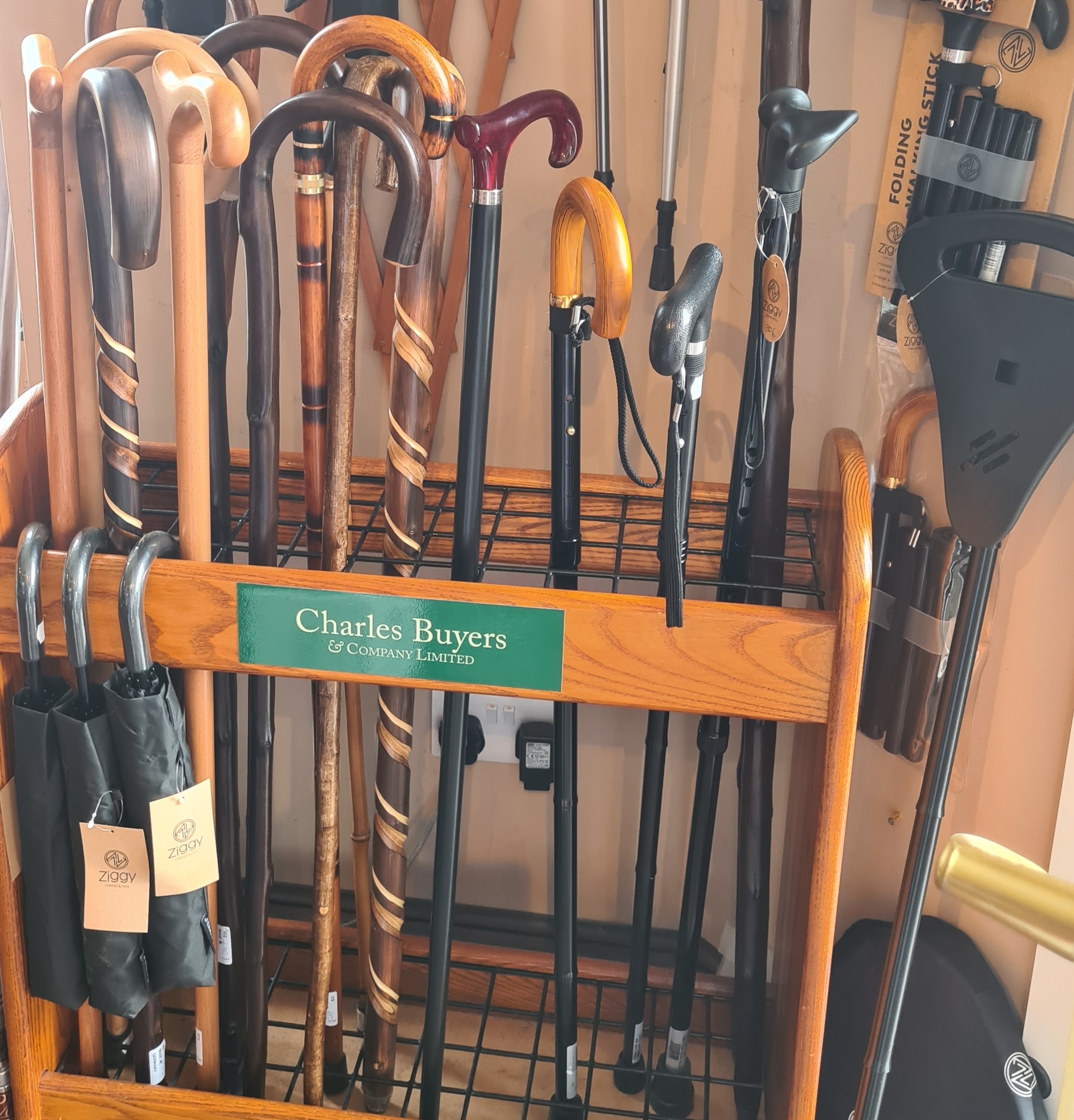 Outdoor walking sticks canes 